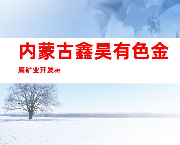内蒙古鑫昊有色金属矿业开发有限责任公司