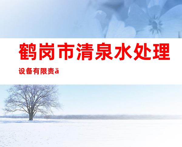 鹤岗市清泉水处理设备有限责任公司